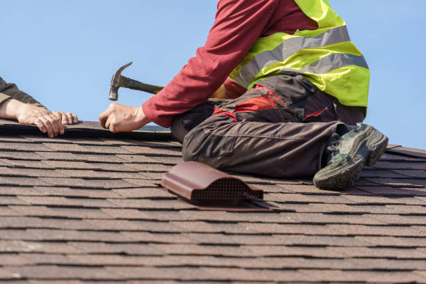 Best Shingle Roofing Installation  in Michigan City, IN