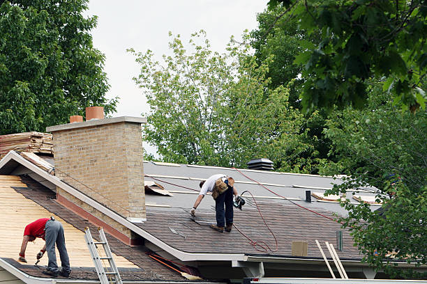 Best Roof Leak Repair  in Michigan City, IN