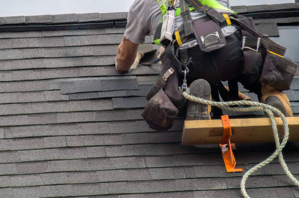 Roof Gutter Cleaning in Michigan City, IN