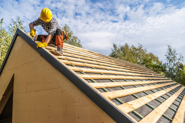 Best Metal Roofing Contractor  in Michigan City, IN